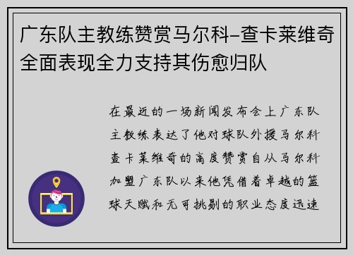 广东队主教练赞赏马尔科-查卡莱维奇全面表现全力支持其伤愈归队